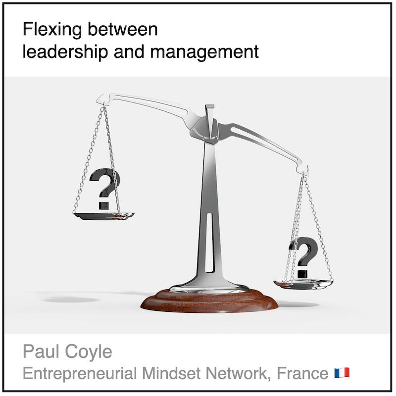 Express 3(1) Paul Coyle Download PDF: Flexing between leadership and management by Paul Coyle (Entrepreneurial Mindset Network, France).